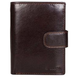 SASSORA Brown Casual Leather Rfid Bi-Fold Wallet for Men-picture-9