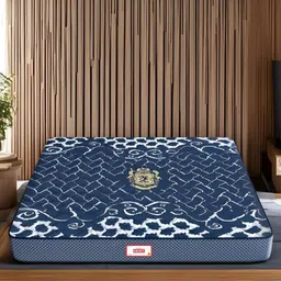 COIRFIT Blue & White Printed Quilted Cotton Orthopedic King Size Mattress-picture-23