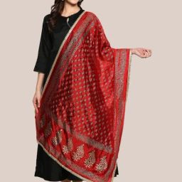 Dupatta Bazaar Red Zari Work Dupatta-picture-27