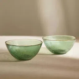 Pure Home and Living Dark Green Glass Radial Serving Bowls (0.5 L) - Set of 2-picture-29