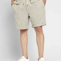 American Eagle Beige Cotton Regular Fit Striped Shorts image 4