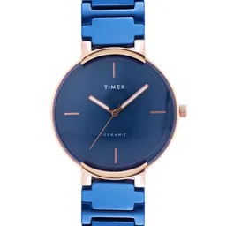 Timex Men Bracelet Style Straps Analogue Watch TWEG21201-picture-21