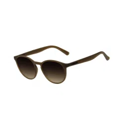 Chilli Beans Brown Round UV Protection Unisex Sunglasses image 1