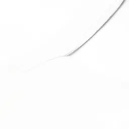 theRebelinme White Camisole Top image 5