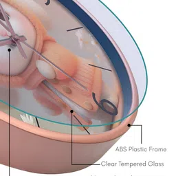 OLIVE TREE Copper-Toned & White Printed Contemporary Wall Clock image 4