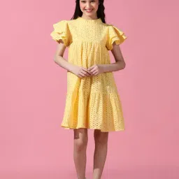 Cherry & Jerry Girls Yellow Self Design A-Line Knee Length Dress-picture-28