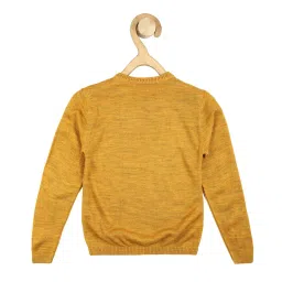 Peter England Kids Yellow Textured Full Sleeves Sweater image 2