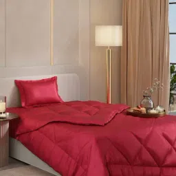 Stoa Paris Date Night Flirty Red Polyester 150 GSM Single Comforter-picture-30