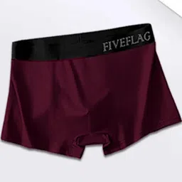 FiveFlag Men Maroon & Blue Pack Of 2 Trunks image 2