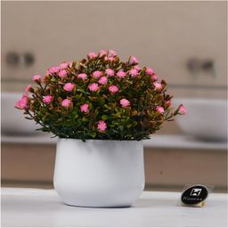KOOKEE Artificial Flower Plant for Home, Office, & Event Decor (11478)-picture-33