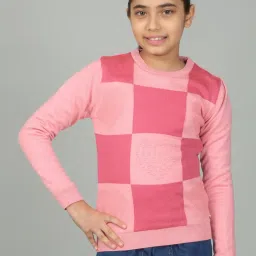 Cantabil Kids Pink Textured Sweater image 1