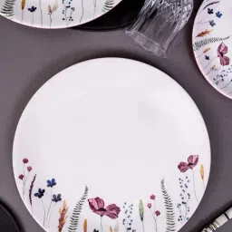 Servewell White Printed Dinner Plates-picture-20