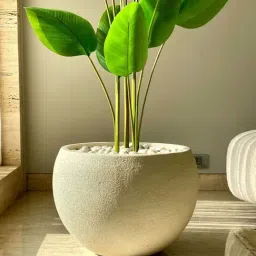 Mason Home Lithos Ivory Planter, Large image 4