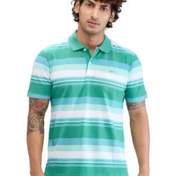 Colorplus Green Classic Fit Striped Polo T-Shirt-picture-29