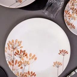 Servewell White Printed Dinner Plates-picture-46