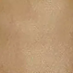 Auto Pearl CMBE138 Polyester Standard Mat for Santro (Beige) image 3