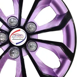 Auto Pearl R13 ress T 33.02 cm (13 Inch) ype With Retention Ring PTAC545 Wheel Cover for Santro Xing38.1 cm-picture-10