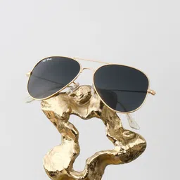 Ted Smith Unisex Black Lens & Gold-Toned Aviator Sunglasses with-picture-28