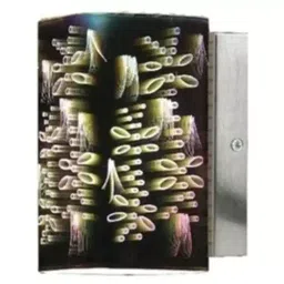 LUKER Maira G3D S1 7 W Indoor LED Wall Light Warm White, LWL113-1-picture-27