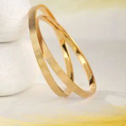 Priyaasi Golden Round Bangle - Set of 2-picture-40