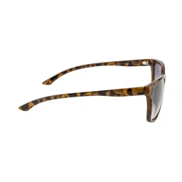 Opium Grey Wayfarer Sunglasses for Men image 4