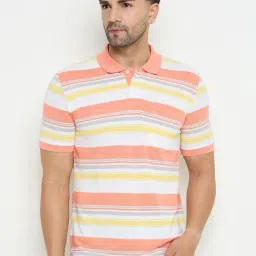 Duke Multi Regular fit Stripes Polo T-Shirt-picture-11