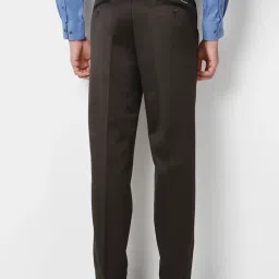 Peter England Brown Regular Fit Pleated Trousers image 2