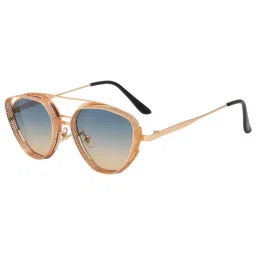 Ted Smith Multi Aviator UV Protection Unisex Sunglasses image 2
