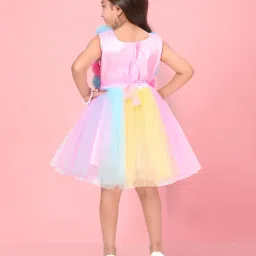 Aarika Kids Multicolor Applique Frock image 2