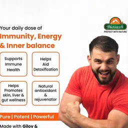 BIOSASH Sea Buckthorn Giloysash Juice For Heart Kidney Liver Related - 250 ml image 4