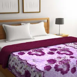 NEUDIS Purple Microfibre 250 TC AC Quilt - Set of 1-picture-30