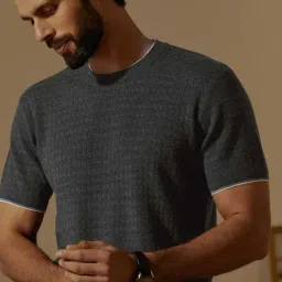 ANDAMEN Grey Regular Fit Textured Crew T-Shirt-picture-20