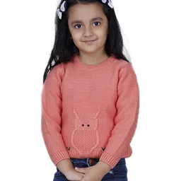 JoE Hazel Full Sleeves Owl Detailed Sweater - Coral Pink-picture-19