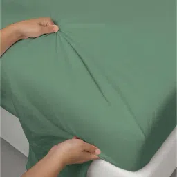 Pizuna Hedge Green Cotton 400 TC Flat Bedsheet with 2 Pillow Cover image 3