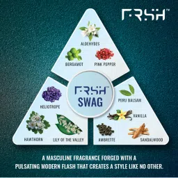 FRSH Dedorant Body Spray Swag & Hero - Pack of 2 image 3