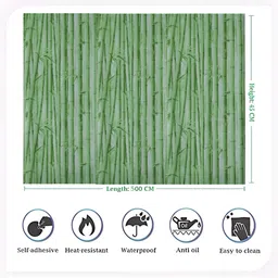 INDIAN ROYALS Green Bamboo Design Printed Self-Adhesive & Durable Wall Sticker image 5