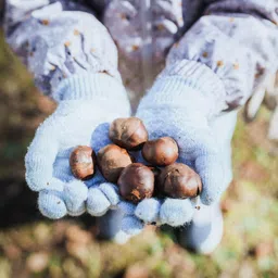 quechua KIDS’ TOUCHSCREEN COMPATIBLE HIKING GLOVES - SH100 KNITTED - AGED 4-14 YEARS image 2
