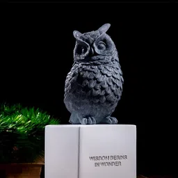 SMOKEY COCKTAIL Grey And White Wise Owl Brings Fortune Figurine Showpiece-image-49