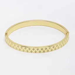 The Roadster Lifestyle Co Men Gold-Plated Kada Bracelet image 3