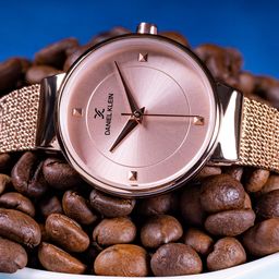 Daniel Klein Fiord Women Rose Gold-Toned Analogue Watch 12046-2-picture-10