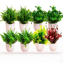 Dekorly Unisex Artificial Flowers & Plants With Pot-picture-28