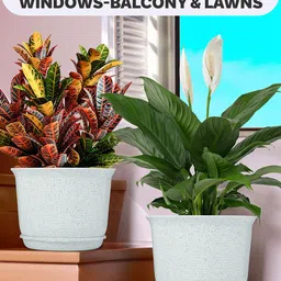 Kuber Industries 4 Pcs Planters With Plate image 3