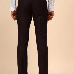 Cantabil Wine Regular Fit Self Design Trousers image 2