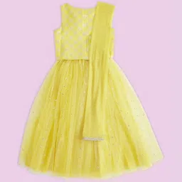 Akkriti by Pantaloons Kids Mustard Self Pattern Lehenga Cholis image 2