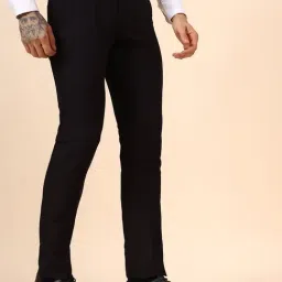 Cantabil Wine Regular Fit Self Design Trousers image 4