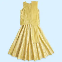 Akkriti by Pantaloons Kids Mustard Embroidered Lehenga Cholis image 2