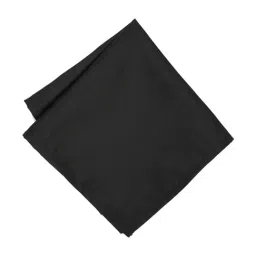Peter England Black Solid Pocket Square-picture-30
