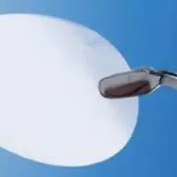 Whatman 13 mm Dia, 0.4uM Pore Size,Nuclepore Hydrophilic Membrane 10417101 image 1