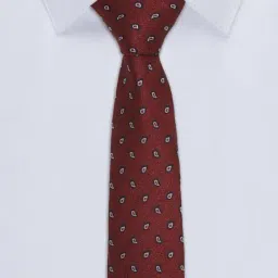 Allen Solly Maroon Printed Tie image 4