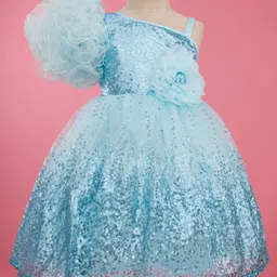 Bluebell Net Woven Sleeveless Party Frock With Floral Applique & Sequin Detailing - Light Blue-picture-14